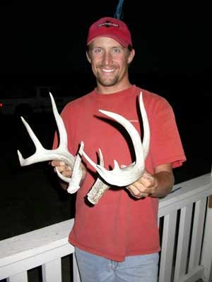 coues whitetail buck shed antler set