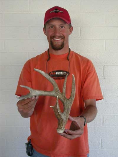 coues deer shed antler 61 inches
