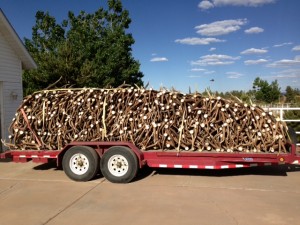 elk shed antler trailer