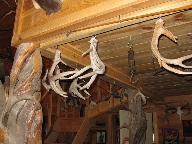 coues-shed-antlers-barn