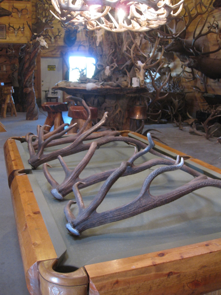 elk shed antler series