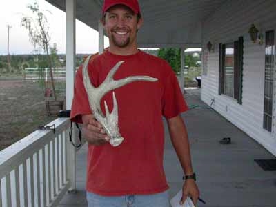 coues whitetail shed anlter